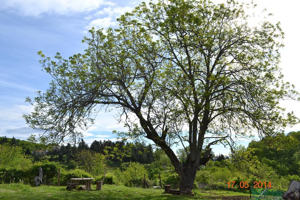 Mouson Melathron Hotel Elafina Bagian luar foto